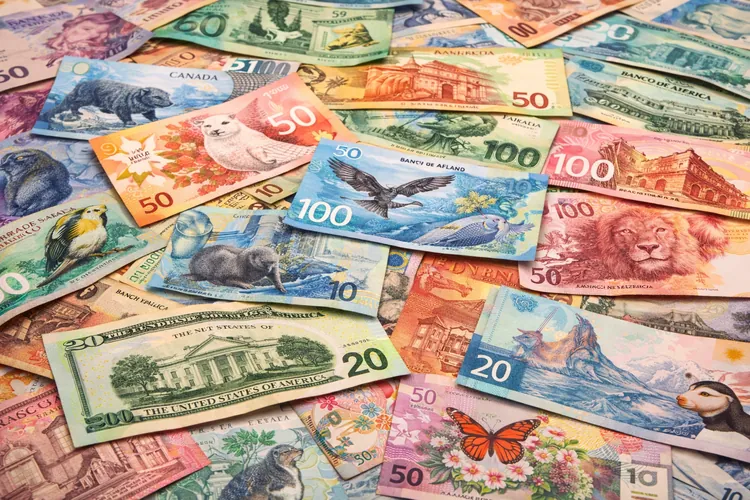 National Currencies: What Actually Stands Behind Them?